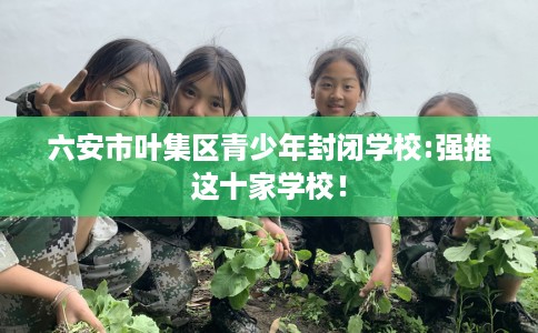 六安市叶集区青少年封闭学校:强推这十家学校! 六安市叶集区青少年封闭学校:强推这十家学校!