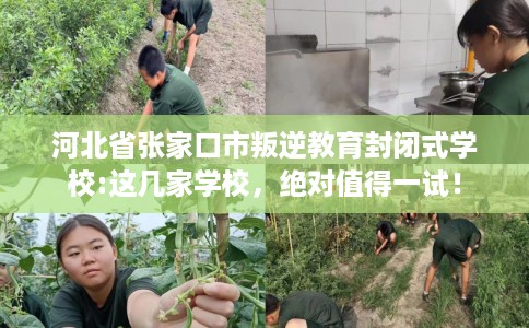 河北省张家口市叛逆教育封闭式学校:这几家学校，绝对值得一试！