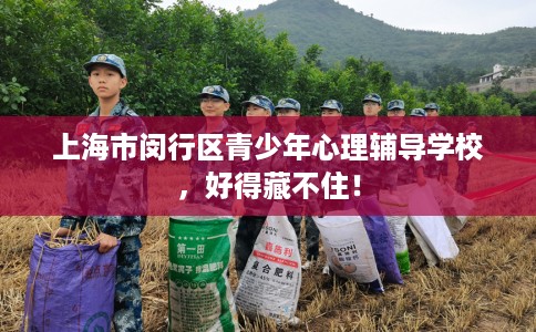 上海市闵行区青少年心理辅导学校，好得藏不住！