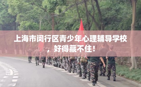 上海市闵行区青少年心理辅导学校，好得藏不住！