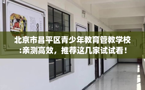 北京市昌平区青少年教育管教学校:亲测高效，推荐这几家试试看！