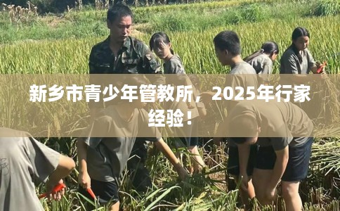 新乡市青少年管教所，2025年行家经验！