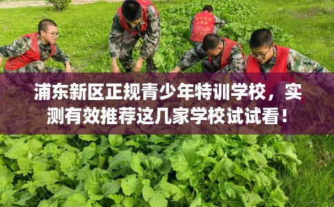 浦东新区正规青少年特训学校，实测有效推荐这几家学校试试看！