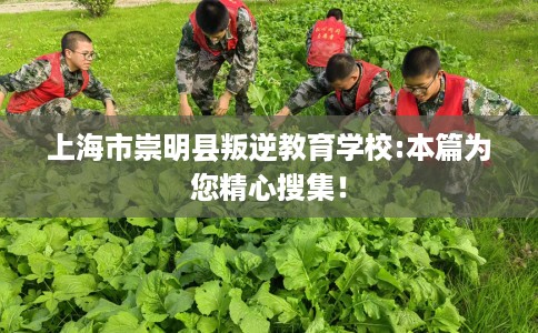 上海市崇明县叛逆教育学校:本篇为您精心搜集！