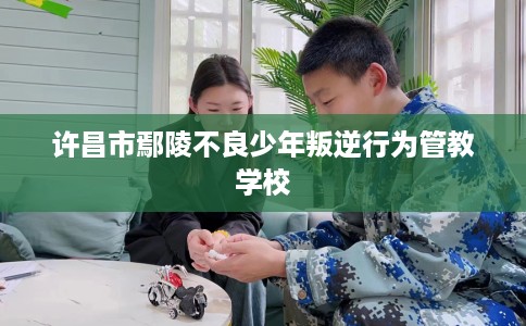 许昌市鄢陵不良少年叛逆行为管教学校 许昌市鄢陵不良少年叛逆行为管教学校