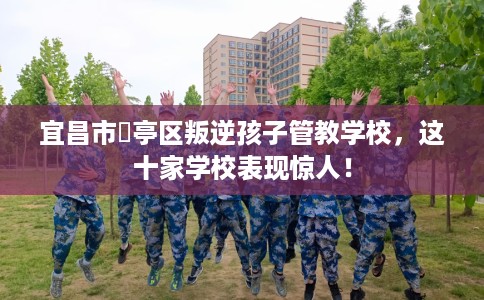 宜昌市猇亭区叛逆孩子管教学校，这十家学校表现惊人！