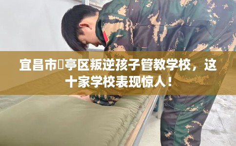 宜昌市猇亭区叛逆孩子管教学校，这十家学校表现惊人！