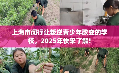 上海市闵行让叛逆青少年改变的学校，2025年快来了解!