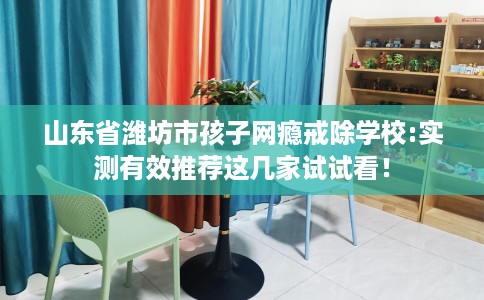 山东省潍坊市孩子网瘾戒除学校:实测有效推荐这几家试试看！
