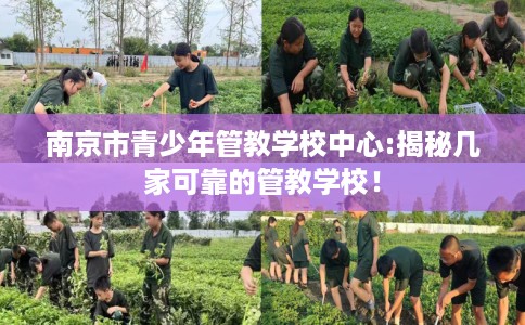 南京市青少年管教学校中心:揭秘几家可靠的管教学校! 南京市青少年管教学校中心:揭秘几家可靠的管教学校!