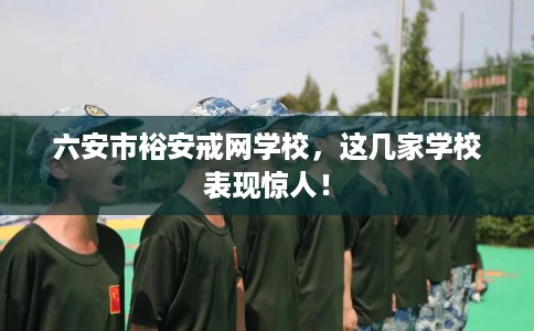 六安市裕安戒网学校,这几家学校表现惊人! 六安市裕安戒网学校,这几家学校表现惊人!