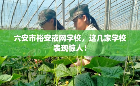 六安市裕安戒网学校，这几家学校表现惊人！