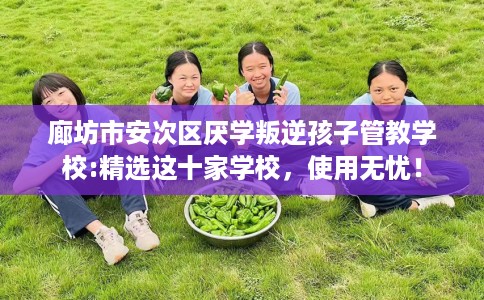 廊坊市安次区厌学叛逆孩子管教学校:精选这十家学校,使用无忧! 廊坊市安次区厌学叛逆孩子管教学校:精选这十家学校,使用无忧!