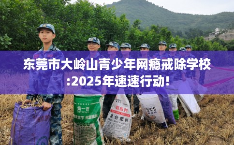 东莞市大岭山青少年网瘾戒除学校:2025年速速行动!