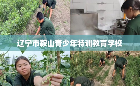 辽宁市鞍山青少年特训教育学校