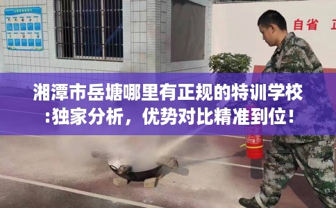湘潭市岳塘哪里有正规的特训学校:独家分析，优势对比精准到位！