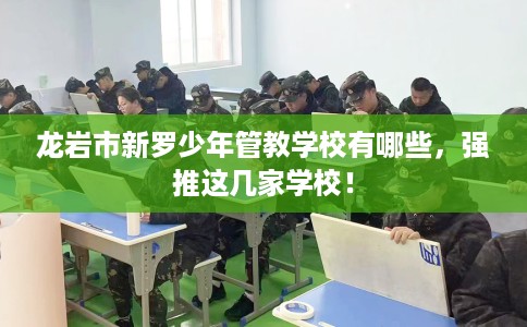 龙岩市新罗少年管教学校有哪些，强推这几家学校！