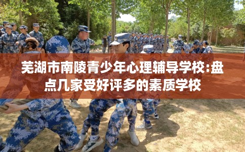 芜湖市南陵青少年心理辅导学校:盘点几家受好评多的素质学校 芜湖市南陵青少年心理辅导学校:盘点几家受好评多的素质学校