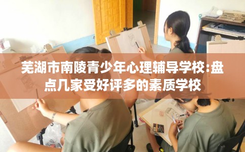 芜湖市南陵青少年心理辅导学校:盘点几家受好评多的素质学校 芜湖市南陵青少年心理辅导学校:盘点几家受好评多的素质学校
