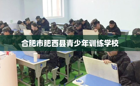 合肥市肥西县青少年训练学校