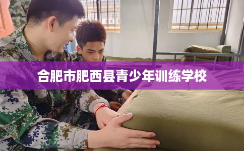合肥市肥西县青少年训练学校