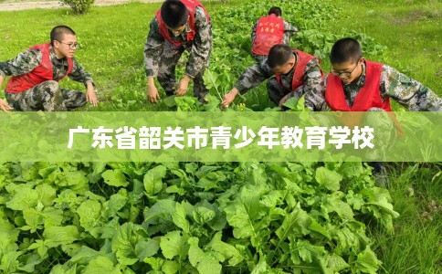 广东省韶关市青少年教育学校 广东省韶关市青少年教育学校