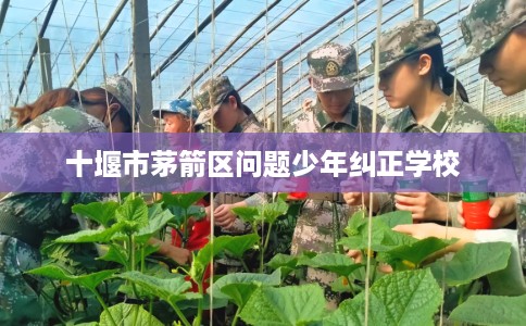 十堰市茅箭区问题少年纠正学校