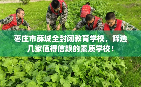 枣庄市薛城全封闭教育学校，筛选几家值得信赖的素质学校！