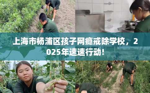 上海市杨浦区孩子网瘾戒除学校，2025年速速行动!