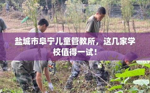 盐城市阜宁儿童管教所，这几家学校值得一试！