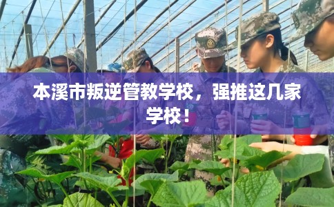 本溪市叛逆管教学校，强推这几家学校！
