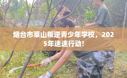 烟台市莱山叛逆青少年学校,2025年速速行动! 烟台市莱山叛逆青少年学校,2025年速速行动!