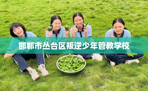 邯郸市丛台区叛逆少年管教学校