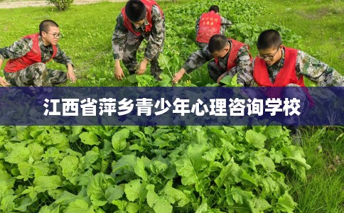 江西省萍乡青少年心理咨询学校