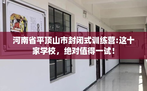 河南省平顶山市封闭式训练营:这十家学校，绝对值得一试！
