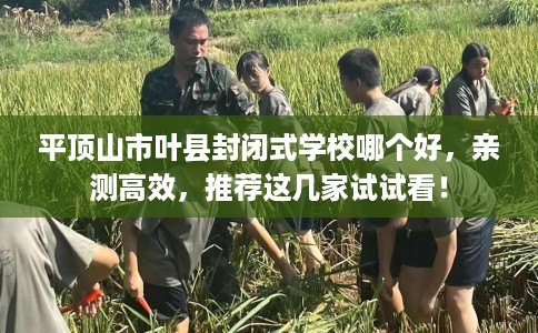 平顶山市叶县封闭式学校哪个好,亲测高效,推荐这几家试试看! 平顶山市叶县封闭式学校哪个好,亲测高效,推荐这几家试试看!