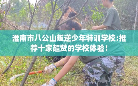淮南市八公山叛逆少年特训学校:推荐十家超赞的学校体验! 淮南市八公山叛逆少年特训学校:推荐十家超赞的学校体验!