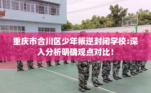 重庆市合川区少年叛逆封闭学校:深入分析明确观点对比！