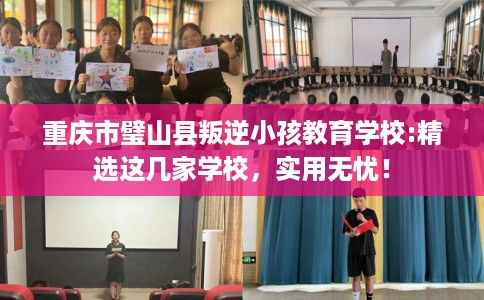 重庆市璧山县叛逆小孩教育学校:精选这几家学校,实用无忧! 重庆市璧山县叛逆小孩教育学校:精选这几家学校,实用无忧!