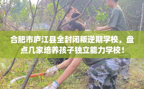 合肥市庐江县全封闭叛逆期学校,盘点几家培养孩子独立能力学校! 合肥市庐江县全封闭叛逆期学校,盘点几家培养孩子独立能力学校!
