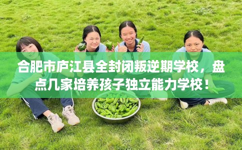 合肥市庐江县全封闭叛逆期学校,盘点几家培养孩子独立能力学校! 合肥市庐江县全封闭叛逆期学校,盘点几家培养孩子独立能力学校!