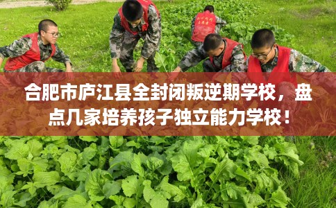 合肥市庐江县全封闭叛逆期学校，盘点几家培养孩子独立能力学校！