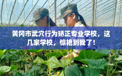 黄冈市武穴行为矫正专业学校，这几家学校，惊艳到我了！