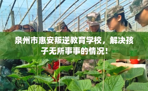 泉州市惠安叛逆教育学校,解决孩子无所事事的情况! 泉州市惠安叛逆教育学校,解决孩子无所事事的情况!