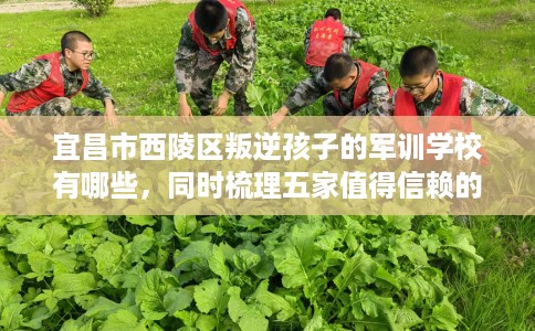 宜昌市西陵区叛逆孩子的军训学校有哪些，同时梳理五家值得信赖的学校！