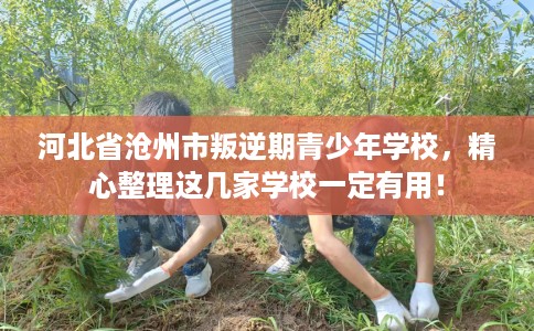 河北省沧州市叛逆期青少年学校，精心整理这几家学校一定有用！