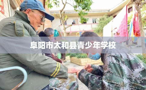 阜阳市太和县青少年学校 阜阳市太和县青少年学校