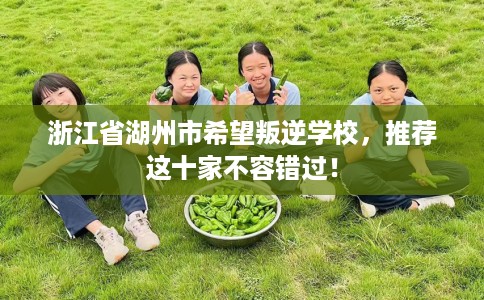 浙江省湖州市希望叛逆学校,推荐这十家不容错过! 浙江省湖州市希望叛逆学校,推荐这十家不容错过!