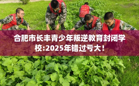合肥市长丰青少年叛逆教育封闭学校:2025年错过亏大！