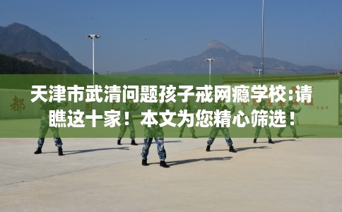 天津市武清问题孩子戒网瘾学校:请瞧这十家！本文为您精心筛选！